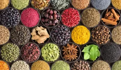 Spezie ed erbe aromatiche all'ingrosso - Qualità egiziana premium | Esportato in tutto il mondo