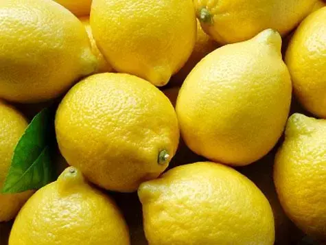 Limones frescos | Sanu Foods