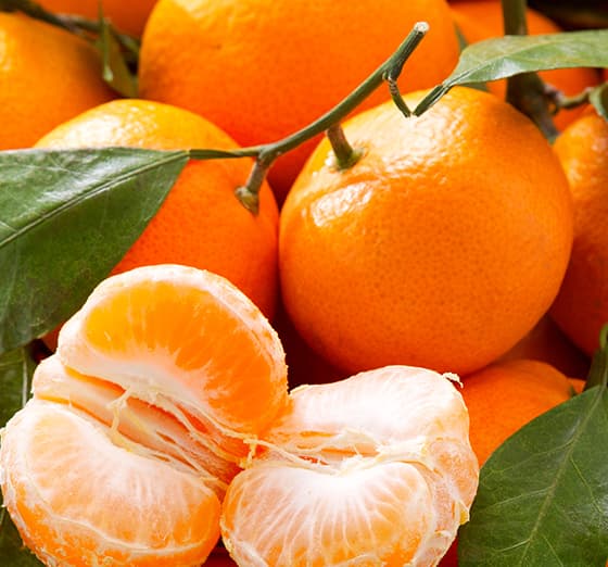 Frische Mandarinen | Sanu Foods