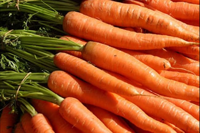Cenouras frescas | Sanu Foods