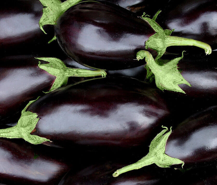 Verse aubergines | Sanu Foods