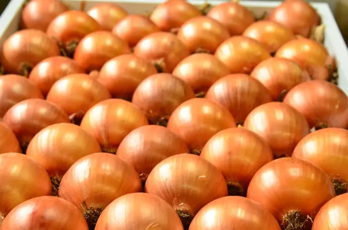 Cebollas doradas frescas | Sanu Foods