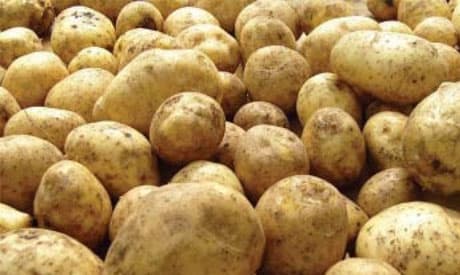 Fresh Potato | Sanu Foods