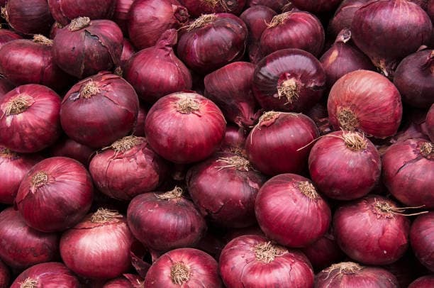 Fresh Red Onions | Sanu Foods