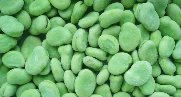 Frozen Broad Beans | Sanu Foods