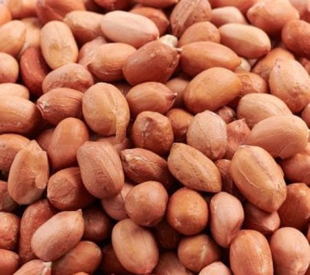 Peanut | Sanu Foods