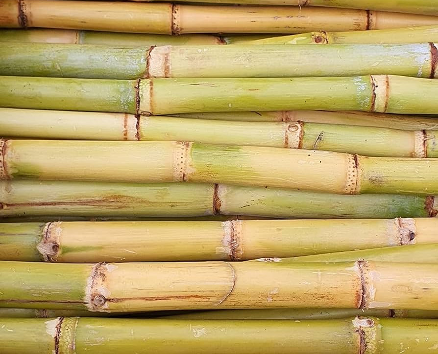 Сахарный тростник | Sanu Foods