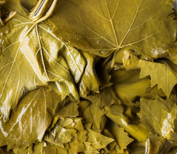 ブドウの葉のピクルス | Sanu Foods