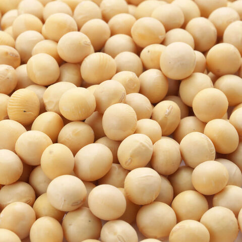 Soybeans | Sanu Foods